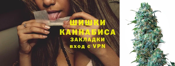 хмурый Бронницы