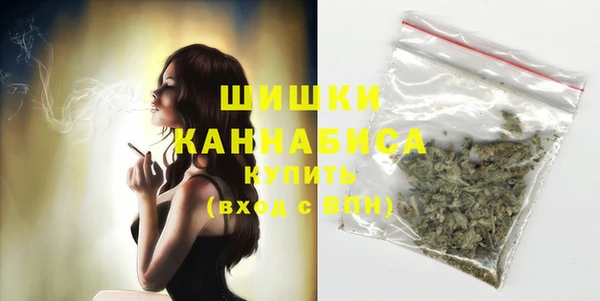 хмурый Бронницы