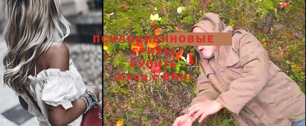 марки nbome Бородино